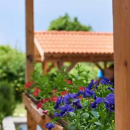 Lilly Apartamento Split